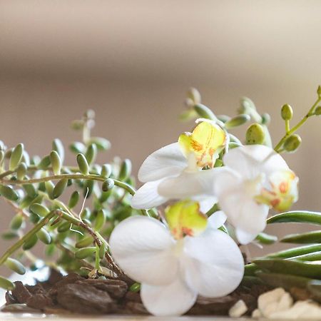 Villa Orselina - Small Luxury Hotel Muralto Екстер'єр фото